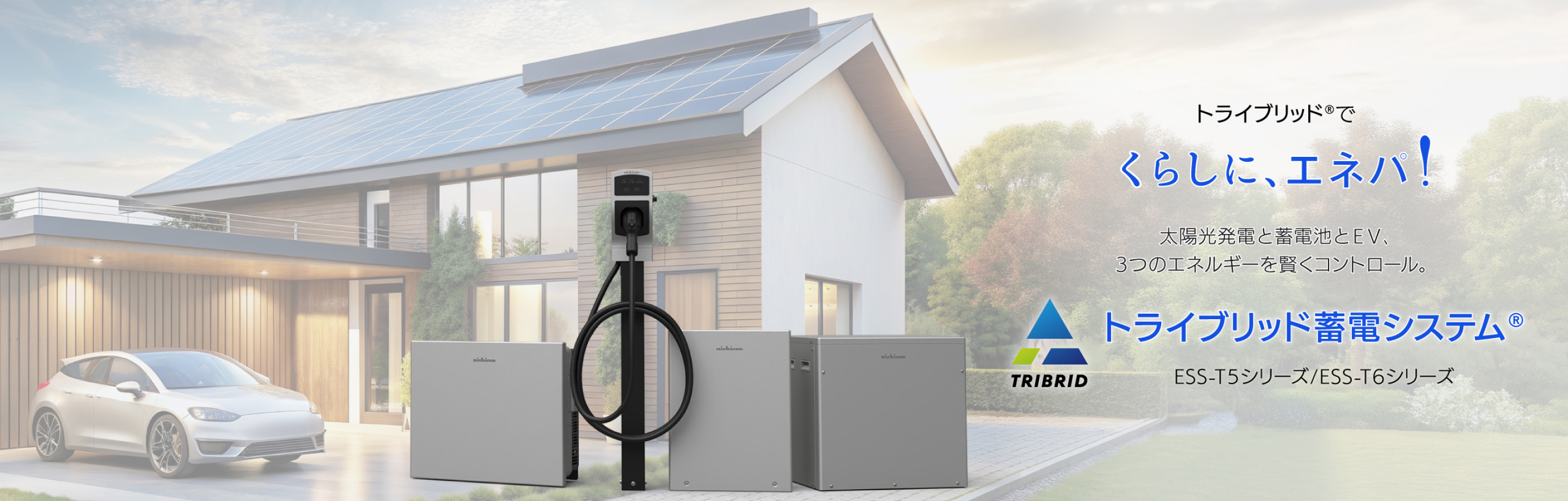 トライブリッド蓄電システム