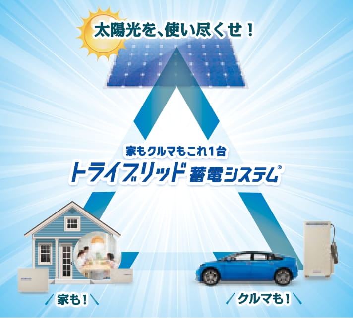 トライブリッド蓄電システム®