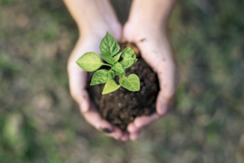 サステナビリティ