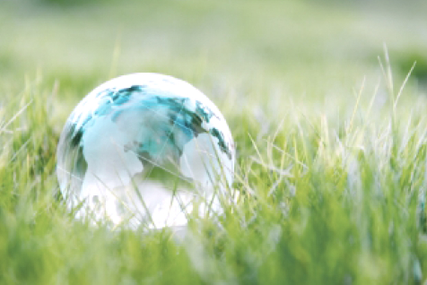 株主・投資家情報