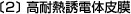 〔2〕高耐熱誘電体皮膜