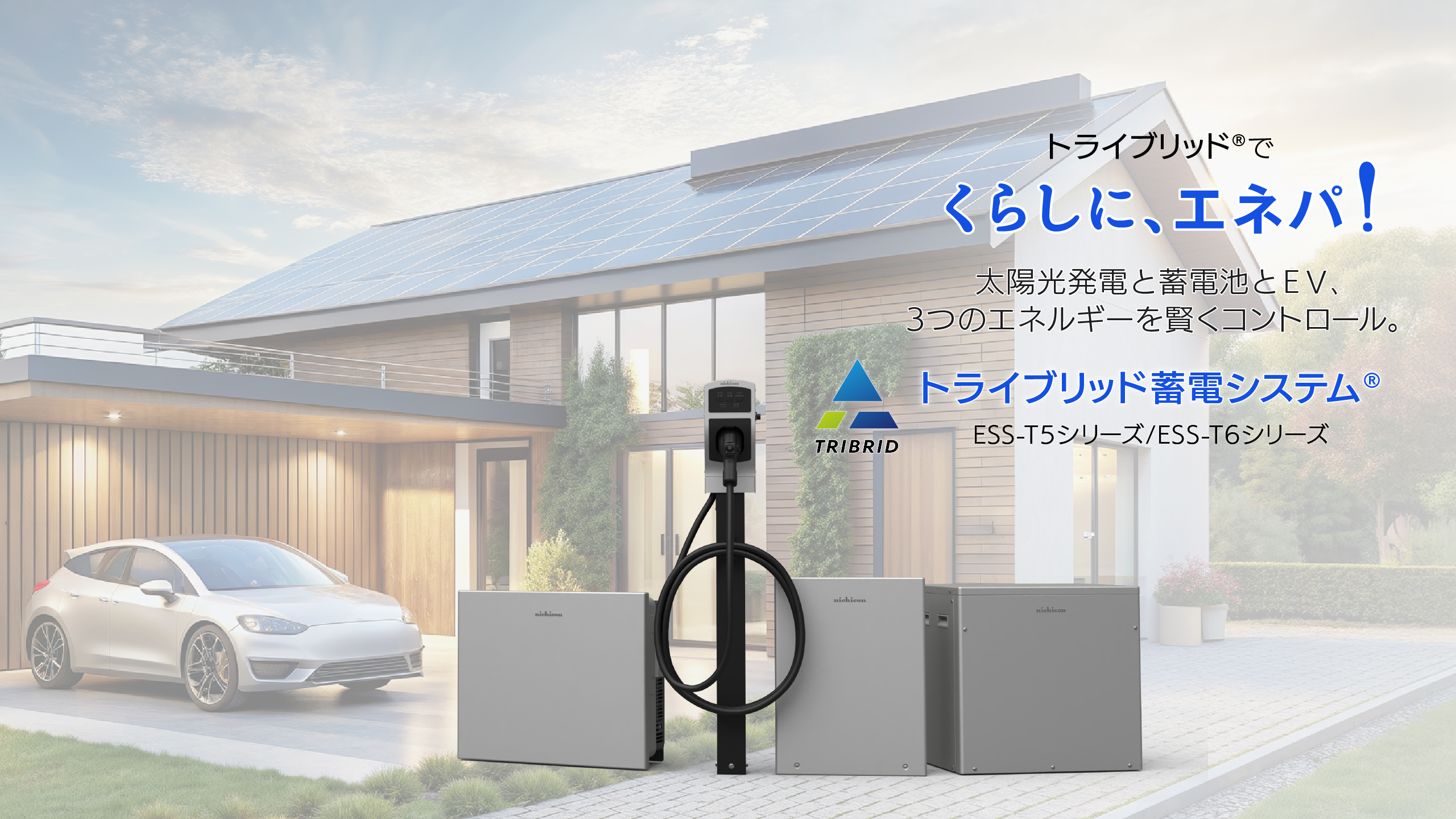 トライブリッド蓄電システム / T5T6シリーズ