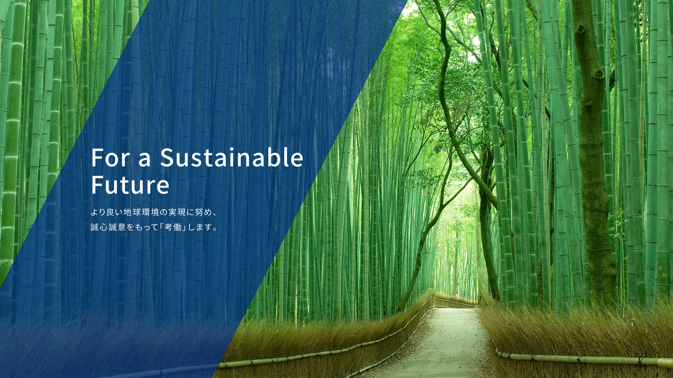 For a Sustainable Future